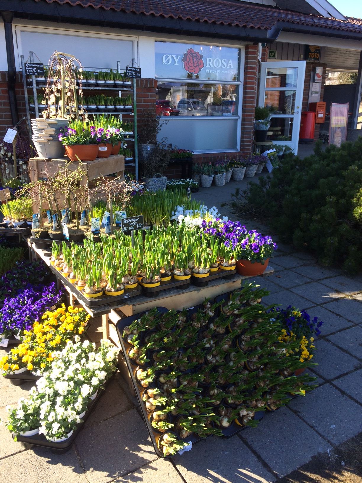 Øyrosa Blomsterbutikk Sarpsborg